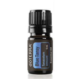 Blue Tansy Oil