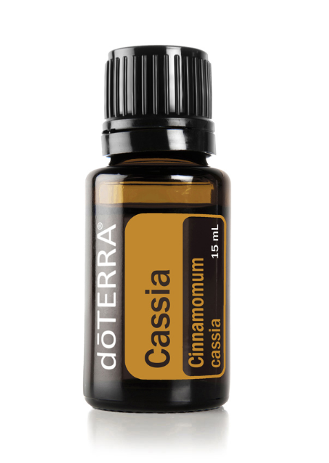 Cassia Oil Cinnamomum cassia