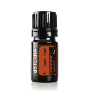 Cinnamon Bark Cinnamomum zeylanicum